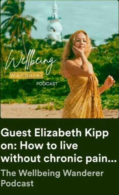 Alternatives to Healing Chronic Pain - Elizabeth Kipp